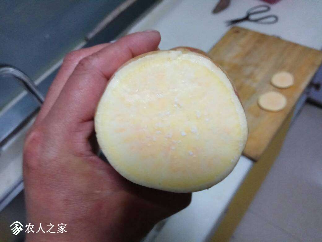 204725v8rx178chn55izje.jpg