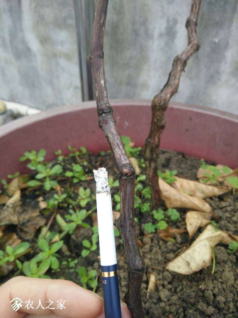 094123bnegp9rgcegogepn.jpg