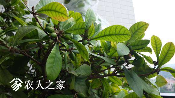 20170416_094629.jpg