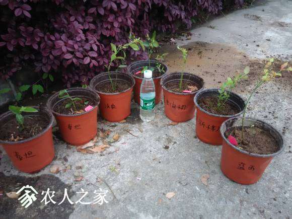 QQͼƬ20170417193249.jpg