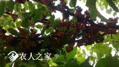 20160516_062238.jpg