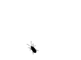 6d81800a19d8bc3e00b0c914808ba61ea9d345b0.gif