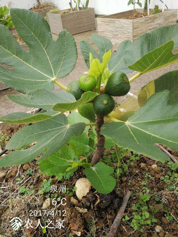 083406bwkgb142pkd63d9z.jpg