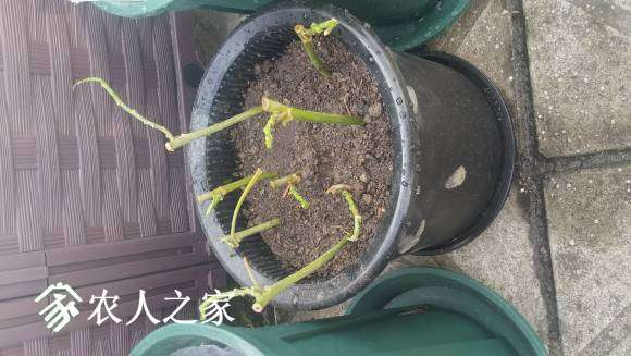 20170418_075027_HDR.jpg
