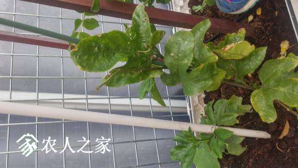 20170417_164049_HDR.jpg