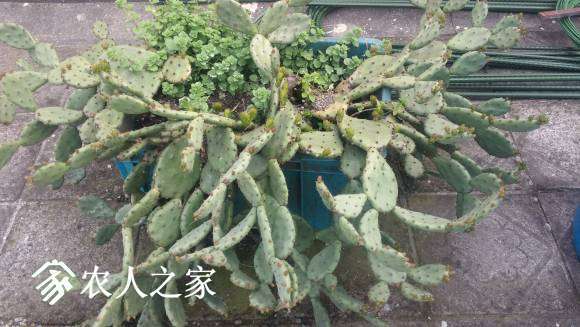 20170417_164115_HDR.jpg