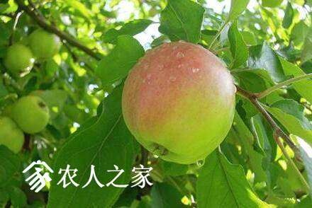 ƻʲôʱˮ.jpg