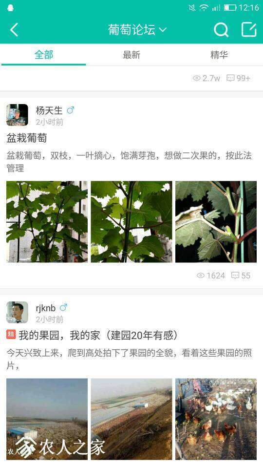 121744srhhlm5aq63ahm10.jpg