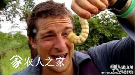 pic_uc_1492575779257.jpg