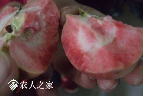 �찮���� 105.jpg