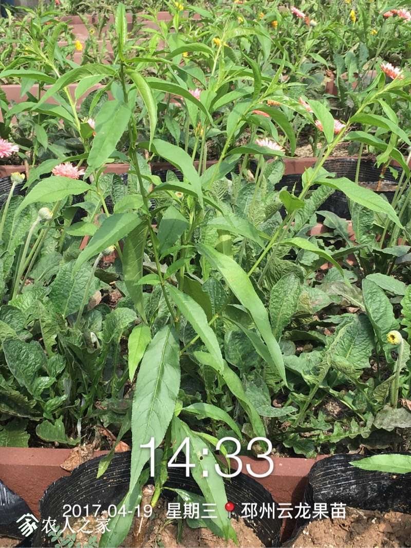 161303u0nqq1fsbbqezrpi.jpg