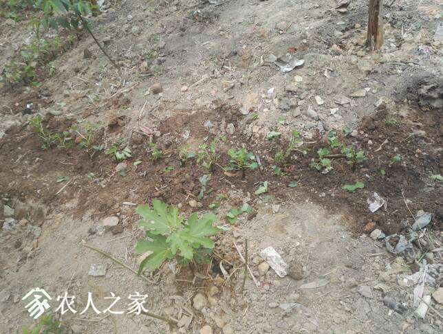 164553upz61x9tbukpv19e.jpg