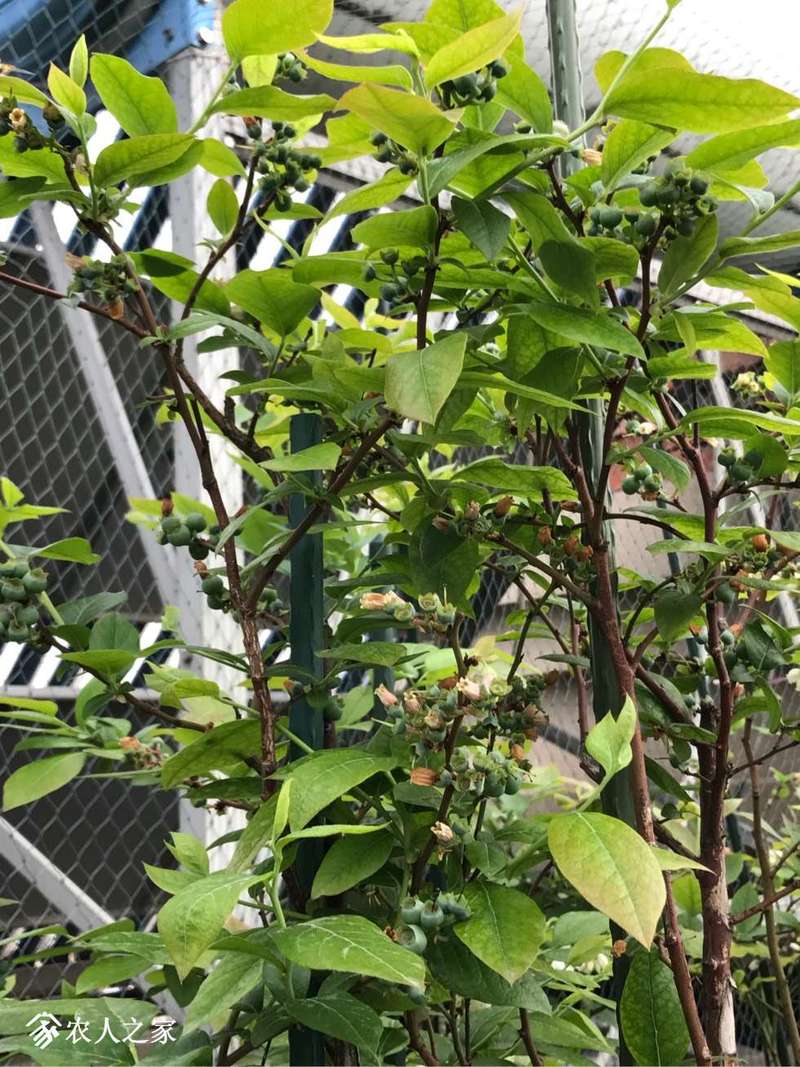 172108ywrp5xx4lm2hdcmz.jpg
