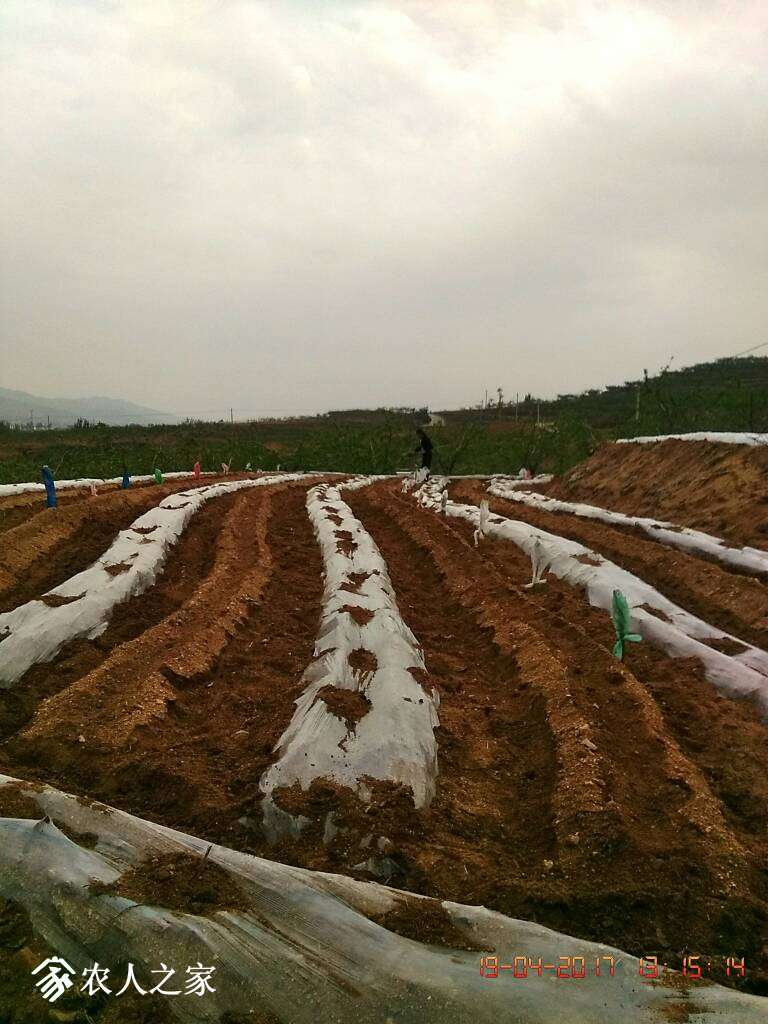 210520pu5oo6ubulm7nzux.jpg