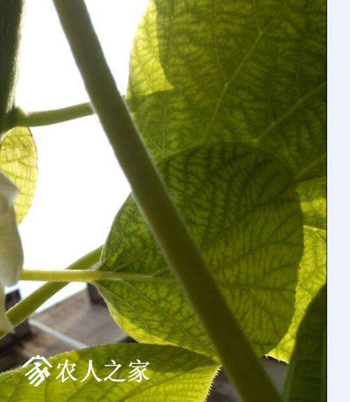 QQ��ͼ20170419235730.jpg