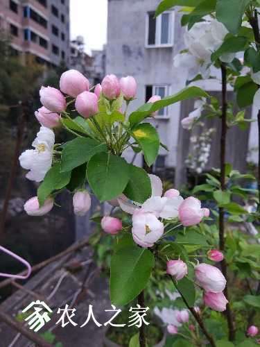 IMG_20170420_175515.jpg