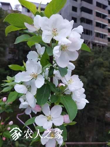 IMG_20170420_175444.jpg