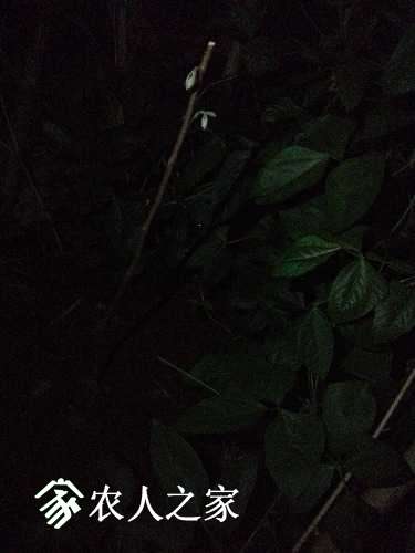 20170420_193022.jpg