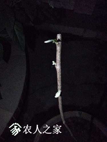 20170420_193101.jpg