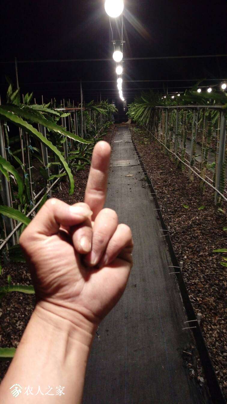 013935oluua8l1wau55u59.jpg