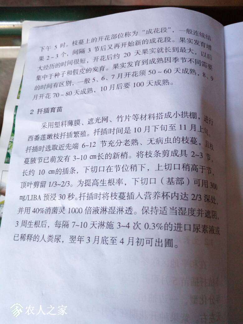133111ujne0331nk7foz5u.jpg