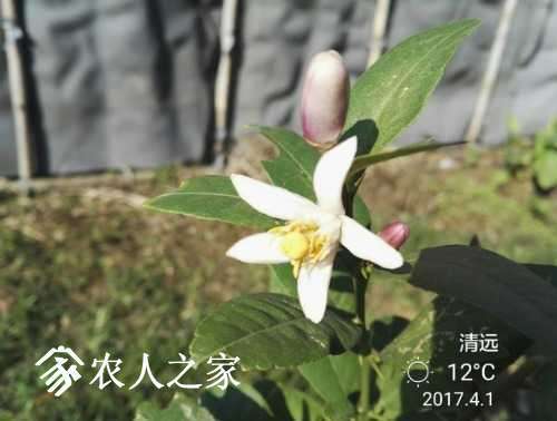 IMG_20170401_085839.jpg