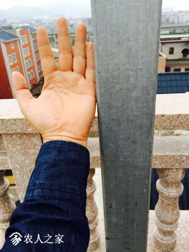 151158tttyiqllta1whi65.jpg