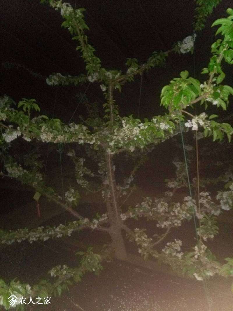 153001fejg4o4zfgmjvd4q.jpg