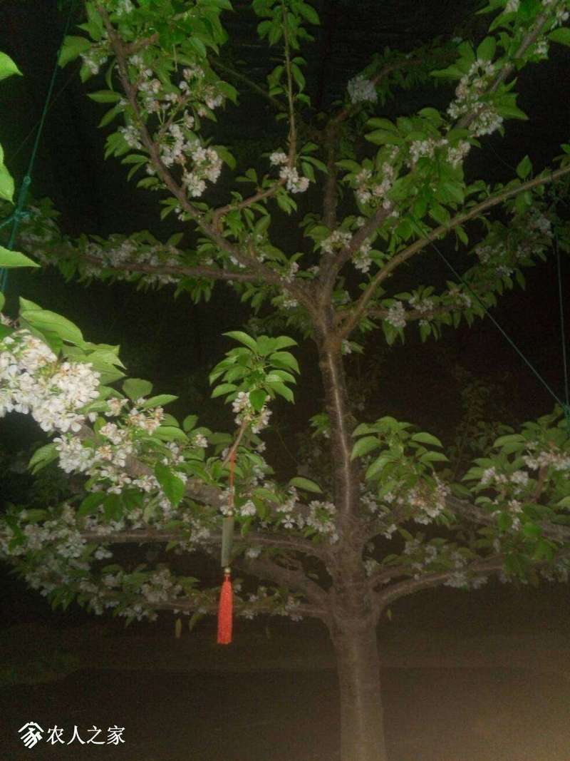 153001m2h1aaqq81ajhzhr.jpg