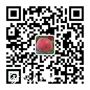 230731xhzzn44c09jtj40t.jpg