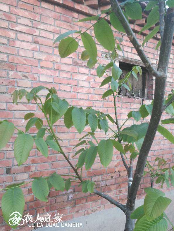 063924r99uoyuprpjjus98.jpg