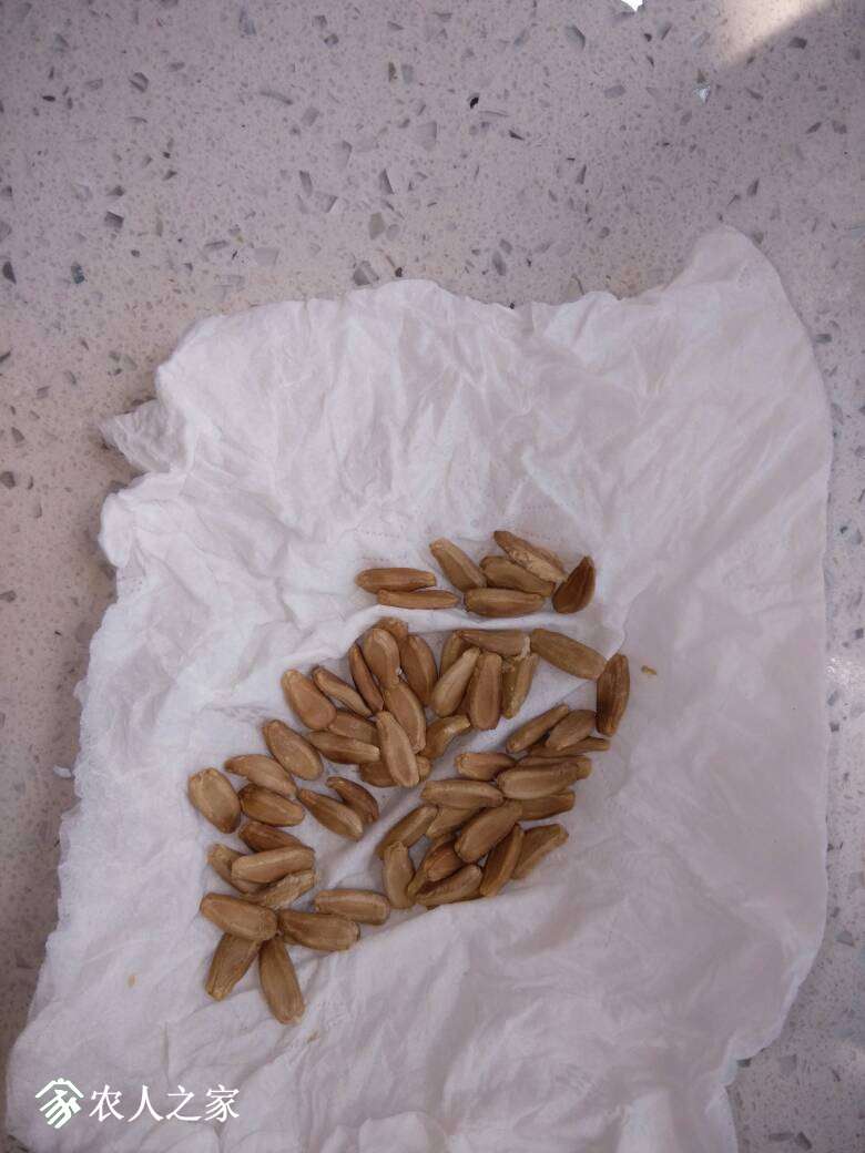 123856du67nc59ccquj7k6.jpg