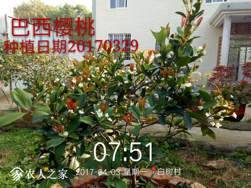 161959i4e8hw4hhe0s7u4c.jpg