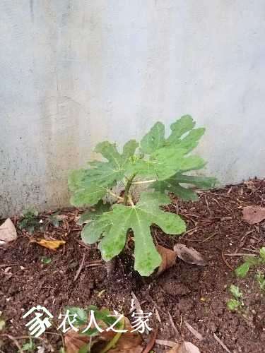20170421_142657.jpg