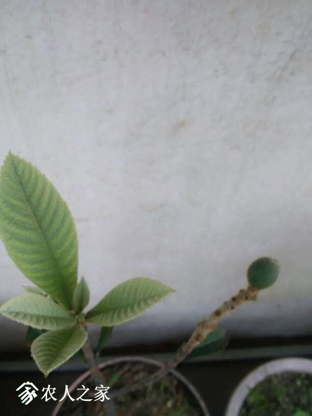 062728yqkveqxew85544vw.jpg