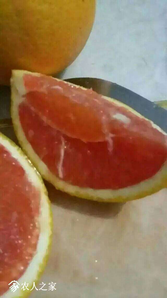 105746grwchib0xxpidlyi.jpeg