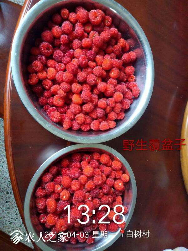 113342a7a7eteeigsqfcen.jpg