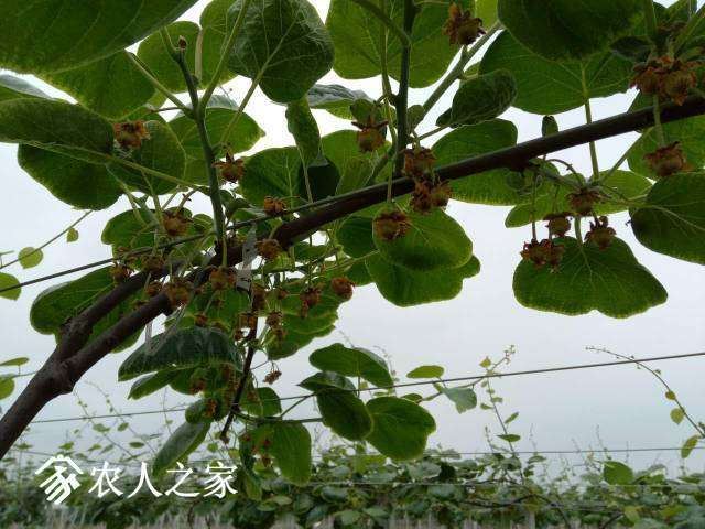 162144r9qj76zh5dq7pq5p.jpg