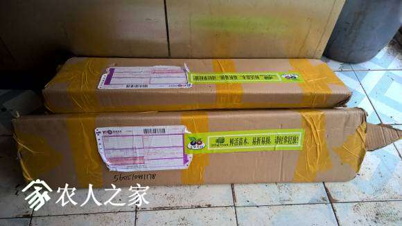 WP_20161129_13_10_43_Pro.jpg