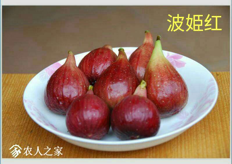 020437gd925asdfzd8w9p8.jpg