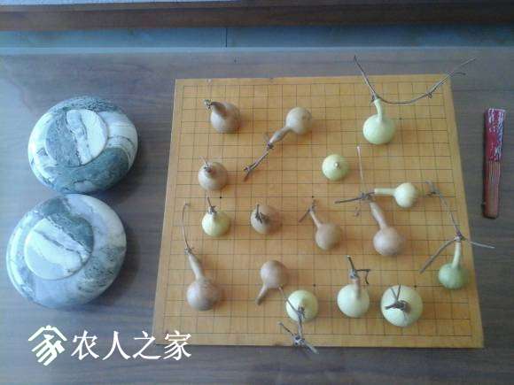 20161006_124706.jpg