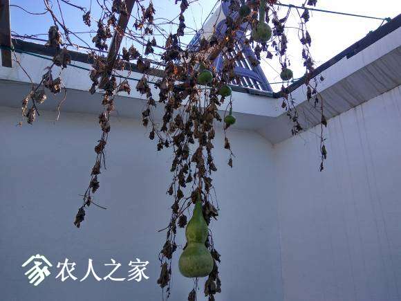 IMG_20161022_105759_HDR.jpg