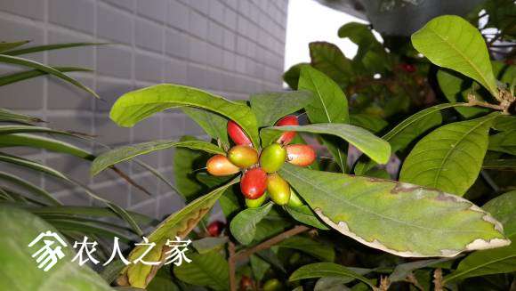 20170422_070726.jpg