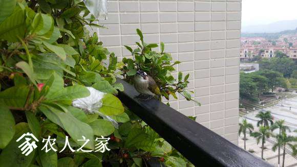 20170421_072908.jpg