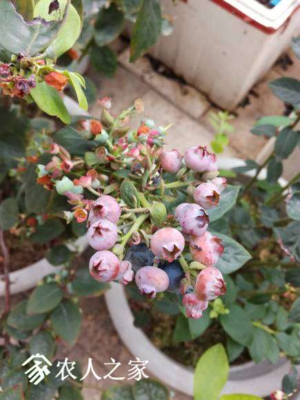 IMG_20170416_152009.jpg