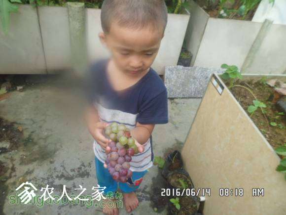 093051pd3gdbd38d99v8wp.jpg
