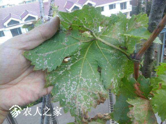 20160915_103324.jpg