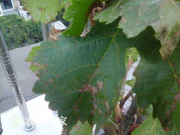 20160915_103346.jpg