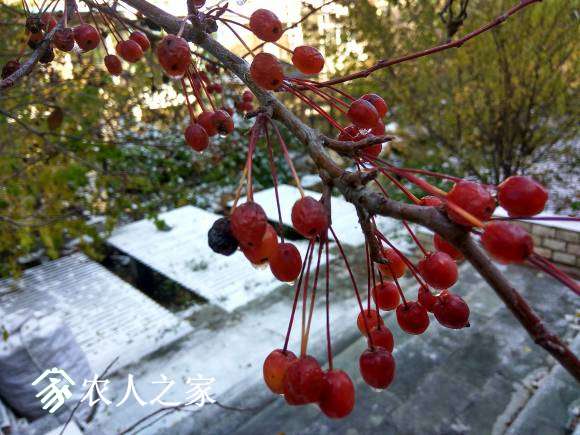 IMG_20161022_105024_HDR.jpg