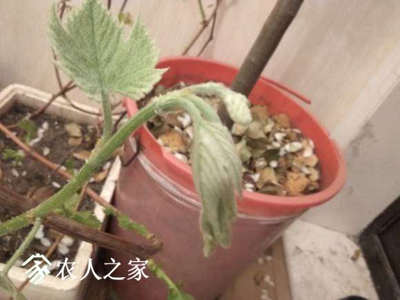 IMG_20170402_183138.jpg